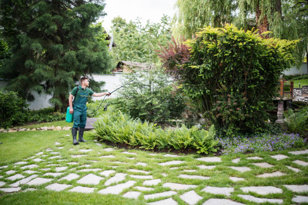 Best Residential Pest Control  in Oceano, CA