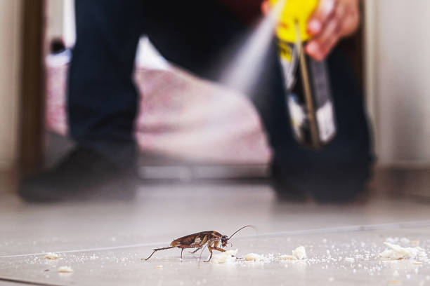 Pest Prevention Services in Oceano, CA