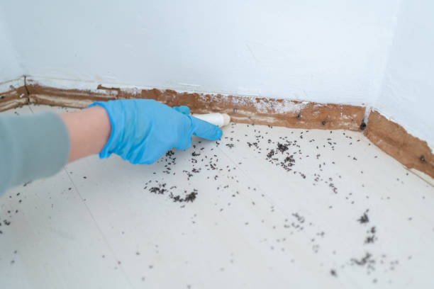 Best Pest Removal Services  in Oceano, CA