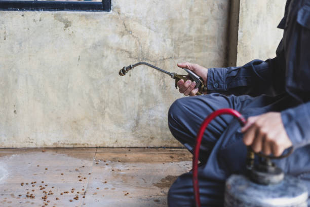 Best Mosquito Control Services  in Oceano, CA