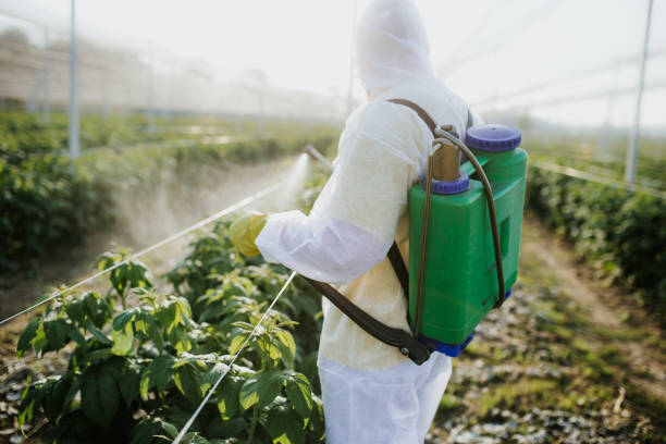 Best Wasp Removal Services  in Oceano, CA